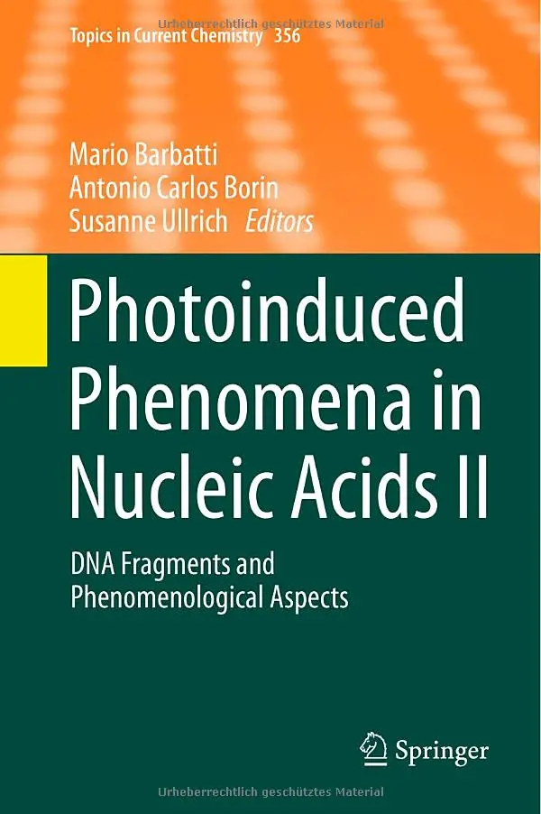 Photoinduced Phenomena in Nucleic Acids II: DNA Fragments and Phenomenological Aspects