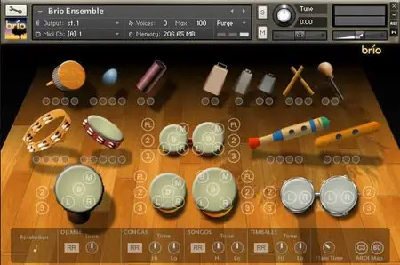 Indigіnus Brio Latin Percussion Ensemble KONTAKT