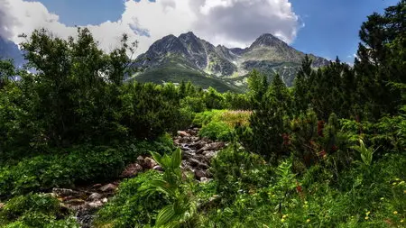 Wallpapers - Nature (pack 21) 