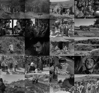 The Flowers of St. Francis (1950)