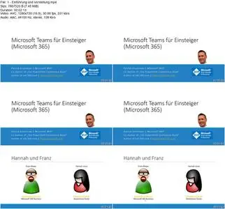 Microsoft Teams für Einsteiger (Microsoft 365)