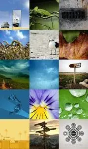 Quenn of Wallpapers 3