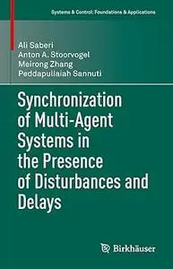Synchronization of Multi-Agent Systems in the Presence of Disturbances and Delays