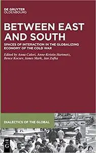 Between East and South: Spaces of Interaction in the Globalizing Economy of the Cold War
