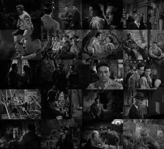 Moonrise (1948) [The Criterion Collection]