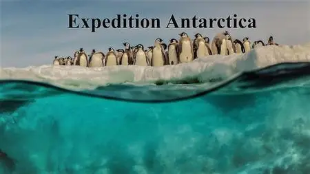 Terranoa - Expedition Antarctica: Series 1 (2016)