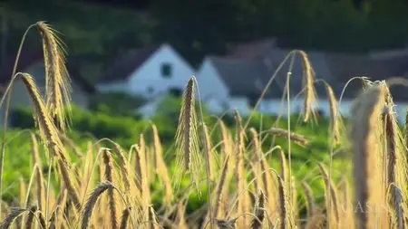 ORF - Land of a Thousand Vineyards (2009)