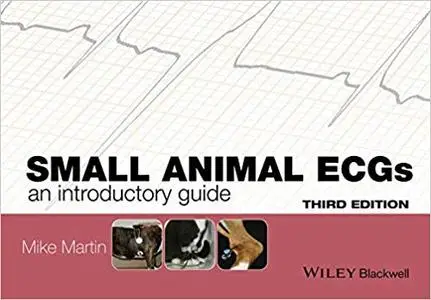 Small Animal ECGs: An Introductory Guide