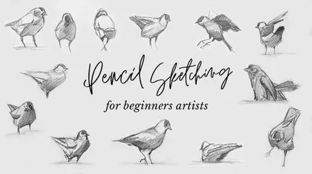 Pencil Sketching for Beginner Artists: Improve Your Technique With Quick & Loose Animal Drawings