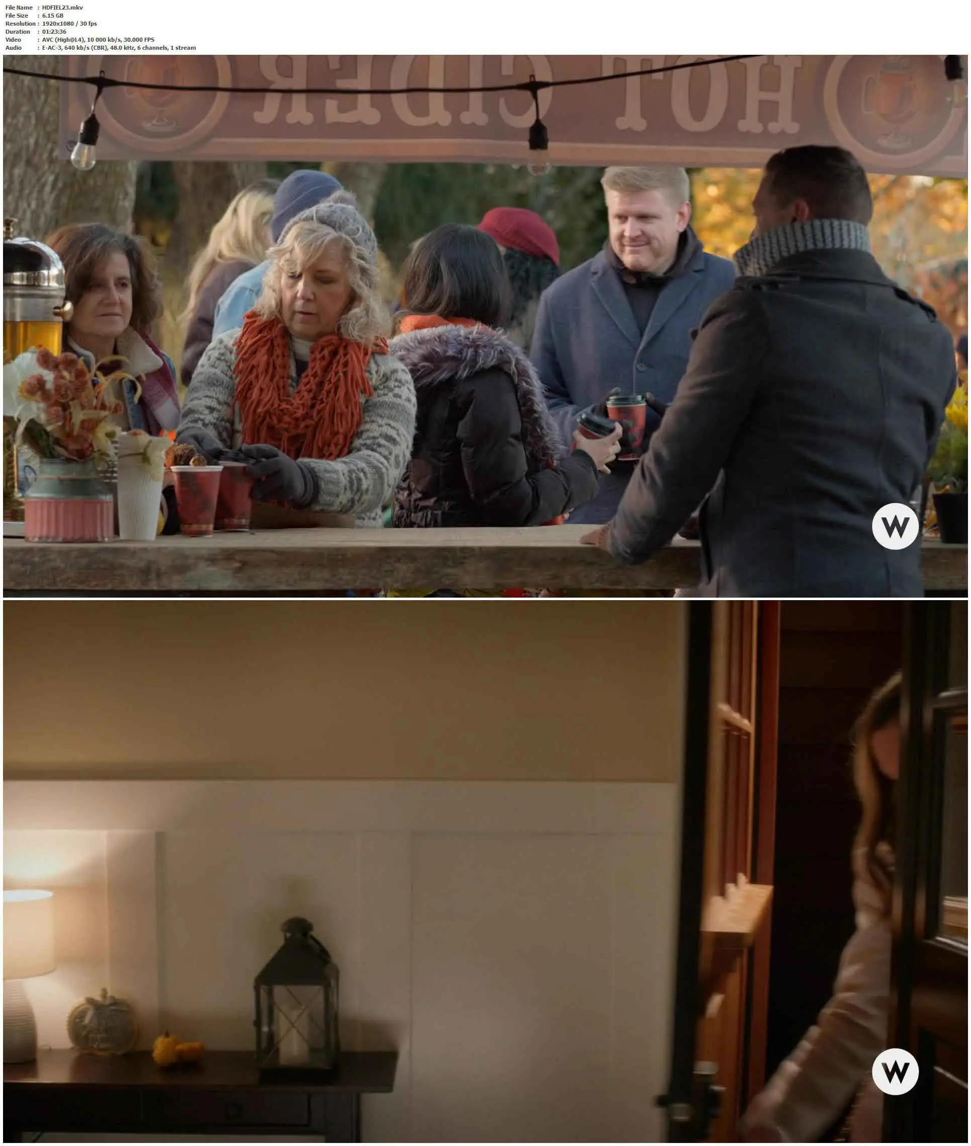 Field Day (2023) / AvaxHome