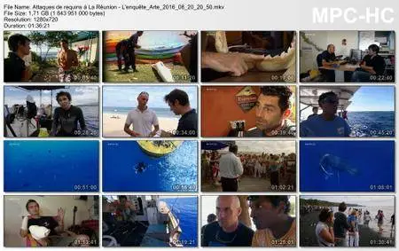 (Arte) Attaques de requins à La Réunion - L'enquête (2016)