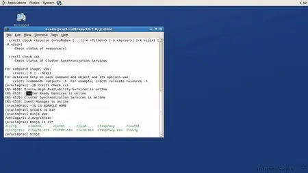 Infinite Skills - Learning Oracle 11g - Real Application Clusters Training Video