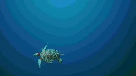 The Last Reef (2012)