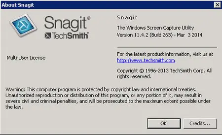Techsmith Snagit 11.4.3.280 Portable