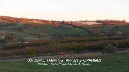 SBS - Pandemic Farming: Apples and Oranges (2020)