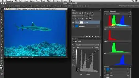 Photoshop Color Correction: Extreme Color Cast