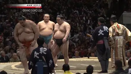 NHK - Grand Sumo Live: January (2019)