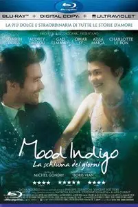 Mood Indigo - La schiuma dei giorni (2013)