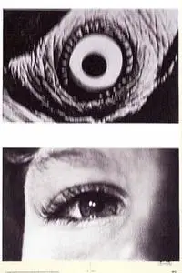 The Searching Eye (1964)