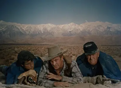 Springfield Rifle (1952)