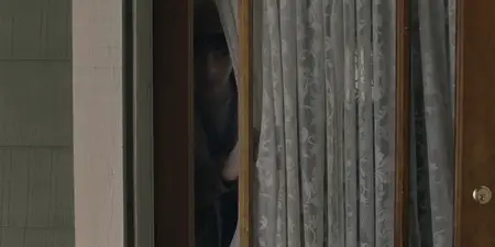 The Dogs (2025)