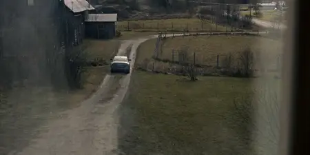 The Dogs (2025)