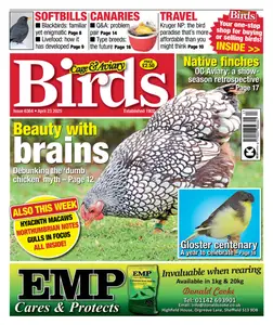 Cage & Aviary Birds - 23 April 2025