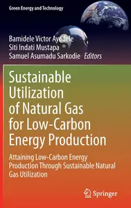 Sustainable Utilization of Natural Gas for Low-Carbon Energy Production