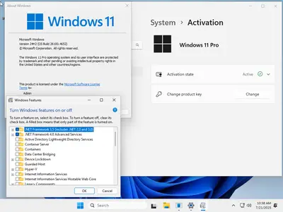 tiny11 Core 24H2 Build 26100.4652 Multilingual Preactivated
