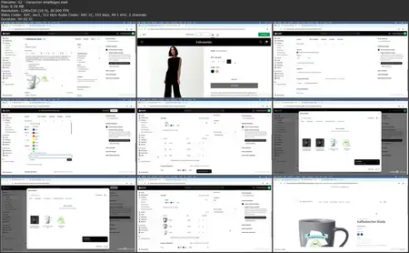 Shopify Grundkurs