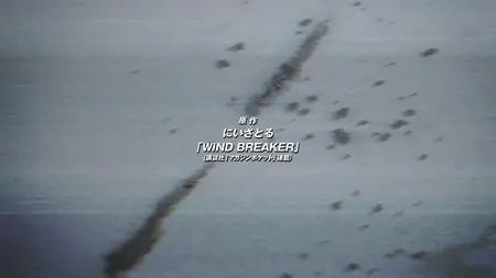 Wind Breaker - 22 (1080p