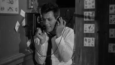 Who Was That Lady? (1960)