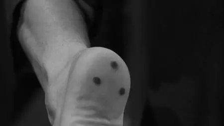 Who Was That Lady? (1960)