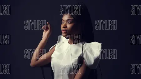 Slideshow Stylish Intro 52659234