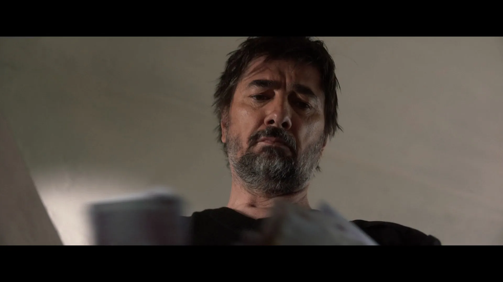 Megdan: Izmedju vode i vatre / Return to the Ring (2024)