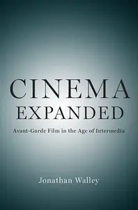 Cinema Expanded: Avant-Garde Film in the Age of Intermedia (Repost)