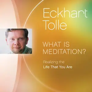 What Is Meditation?: Realizing the Life That You Are