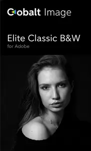 Cobalt-Image - Elite Classic B&W Presets for Adobe