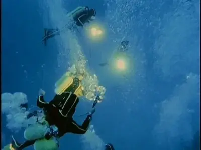 A&E - The Undersea World of Jacques Cousteau - Collection Two (1991)