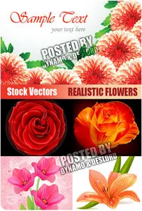 Realistic Flowers - Stock Vectors