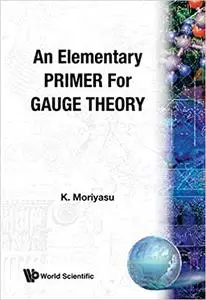Elementary Primer For Gauge Theory, An