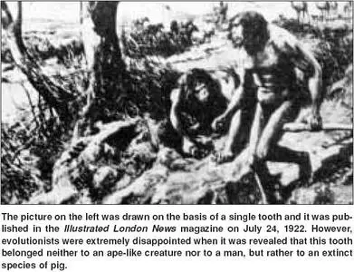 New Research Demolishes Evolution