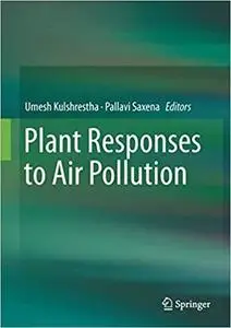 Plant Responses to Air Pollution