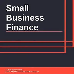 «Small Business  Finance» by IntroBooks