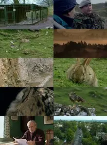 BBC - Natural World: Return of the Eagle Owl (2007)