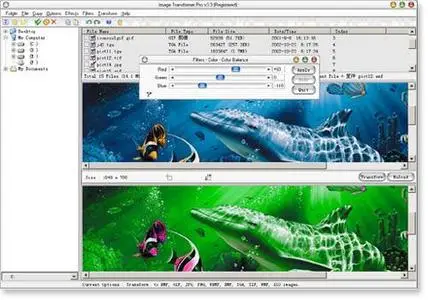 Graphics Converter Pro ver.6.60 Build 60708