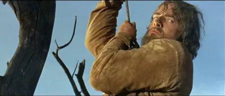 The Appaloosa (1966)