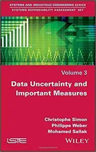 Data Uncertainty and Important Measures