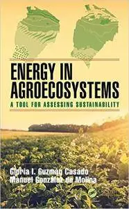 Energy in Agroecosystems: A Tool for Assessing Sustainability