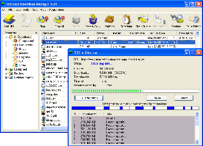 Internet Download Manager ver. 5.07b